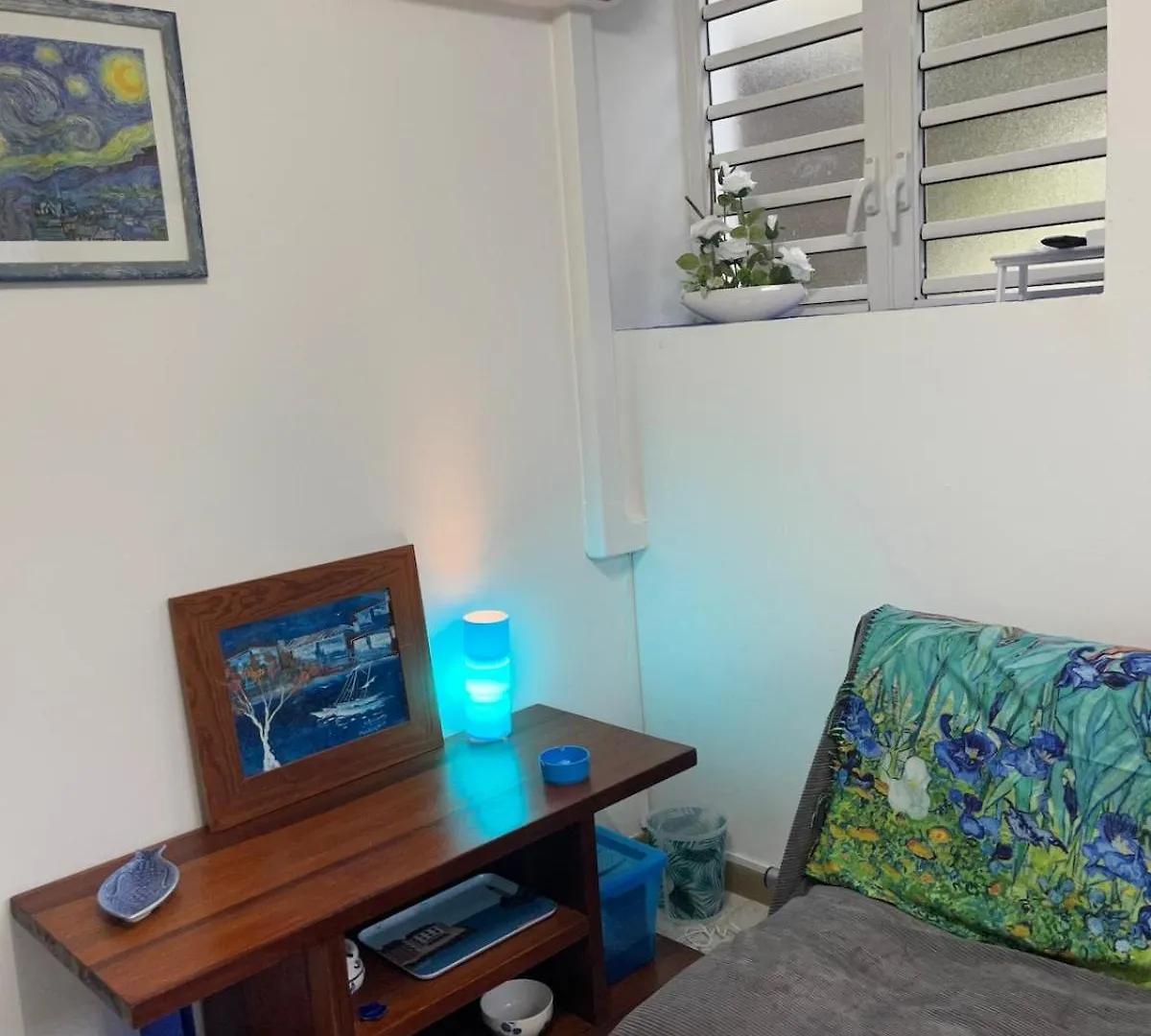 Appartement Grand Studio En Bas De Villa Route De Didier Fort-de-France Martinique